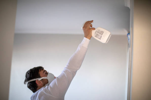 Best Toxic Mold Removal  in Ellinwood, KS