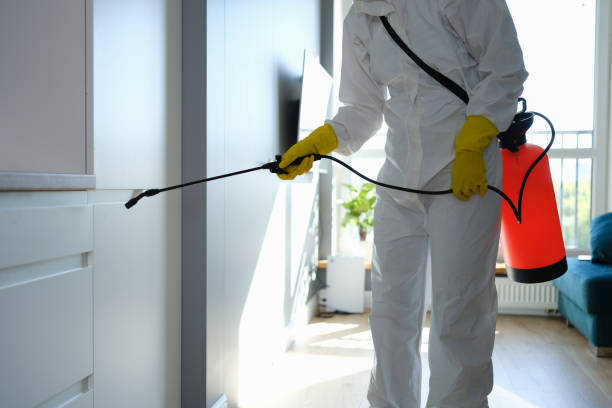 Best Mold Inspection  in Ellinwood, KS
