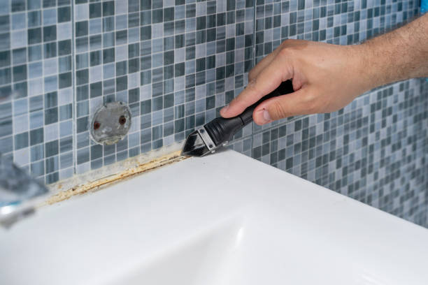 Mold Testing and Removal in Ellinwood, KS