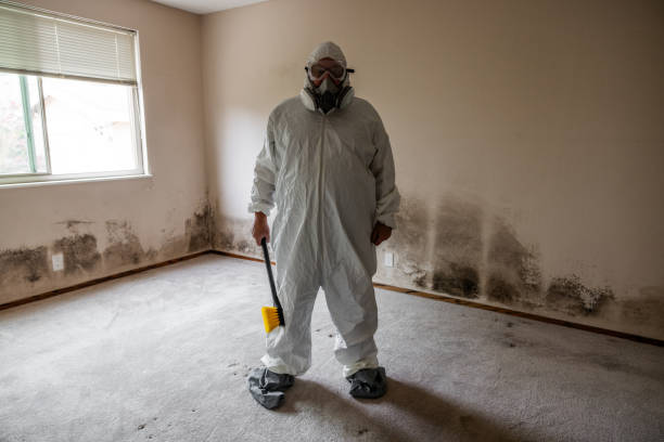 Best Crawl Space Mold Removal  in Ellinwood, KS